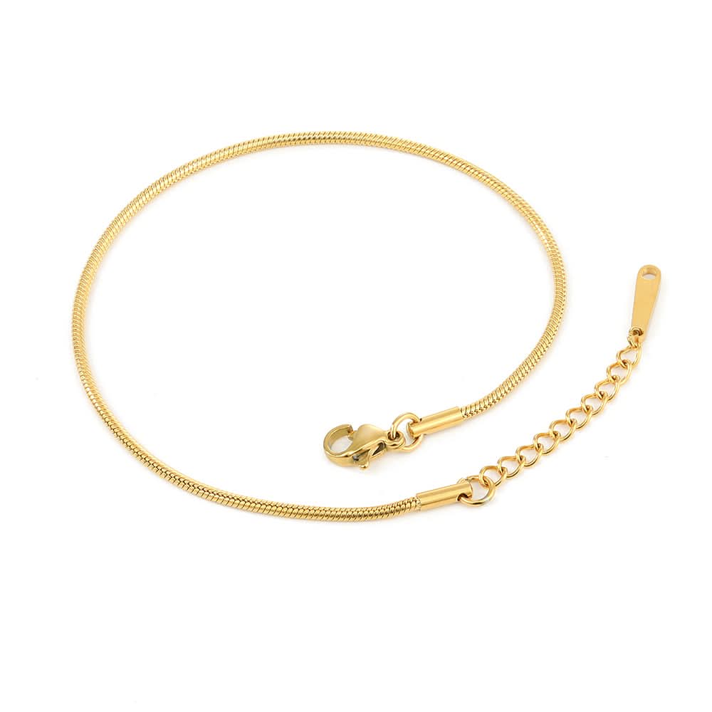Simple silver Lyra anklet from Delani Jewelry featuring delicate chain and adjustable clasp, perfect for summer wear.